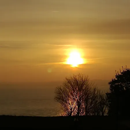 Uferschwalbe - Hohwacht