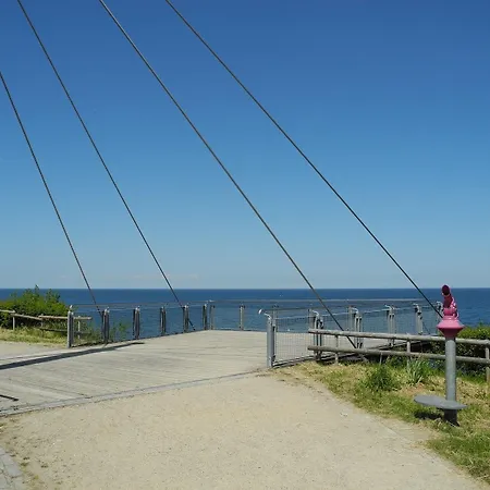 Uferschwalbe - * Hohwacht